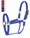 Nyl Hltr Lrg Hor BP Hdwe BLUE 