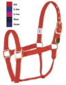 Nyl Halter W/Tip Avg Hor RED 